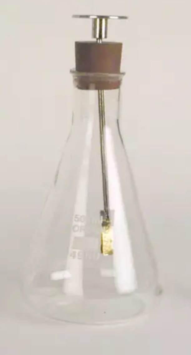 Electroscope With Gold Leaf