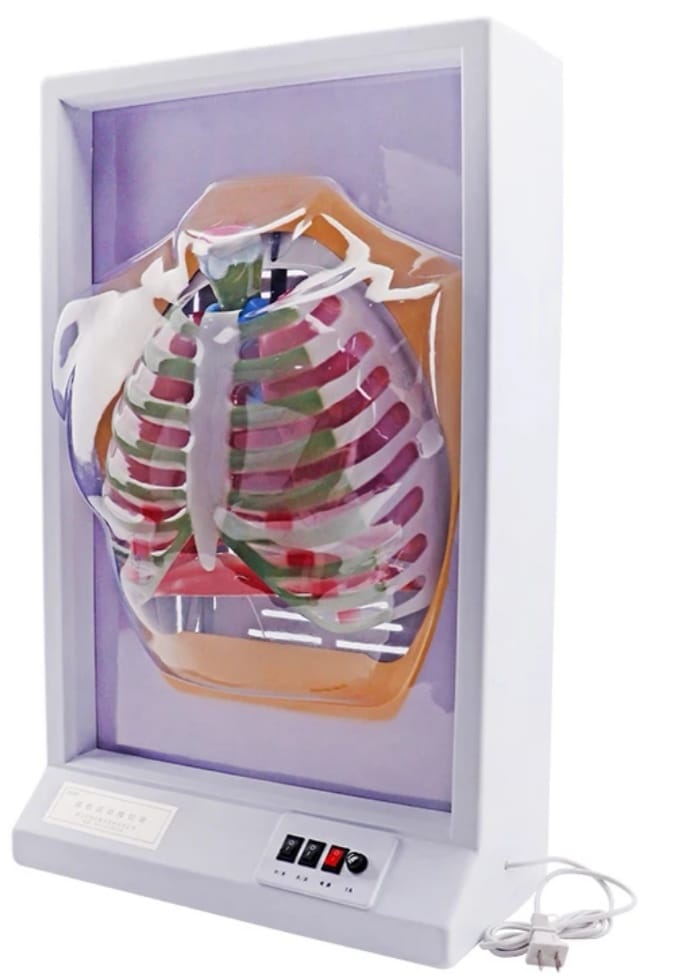 Respiratory System Electric Motorized