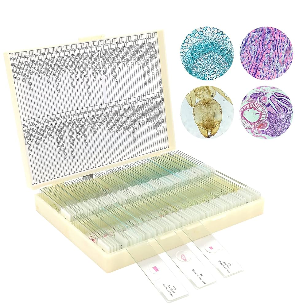 Prepared Slides For Microscopes