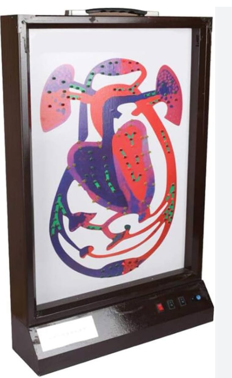 Blood Circulation Demonstration with light