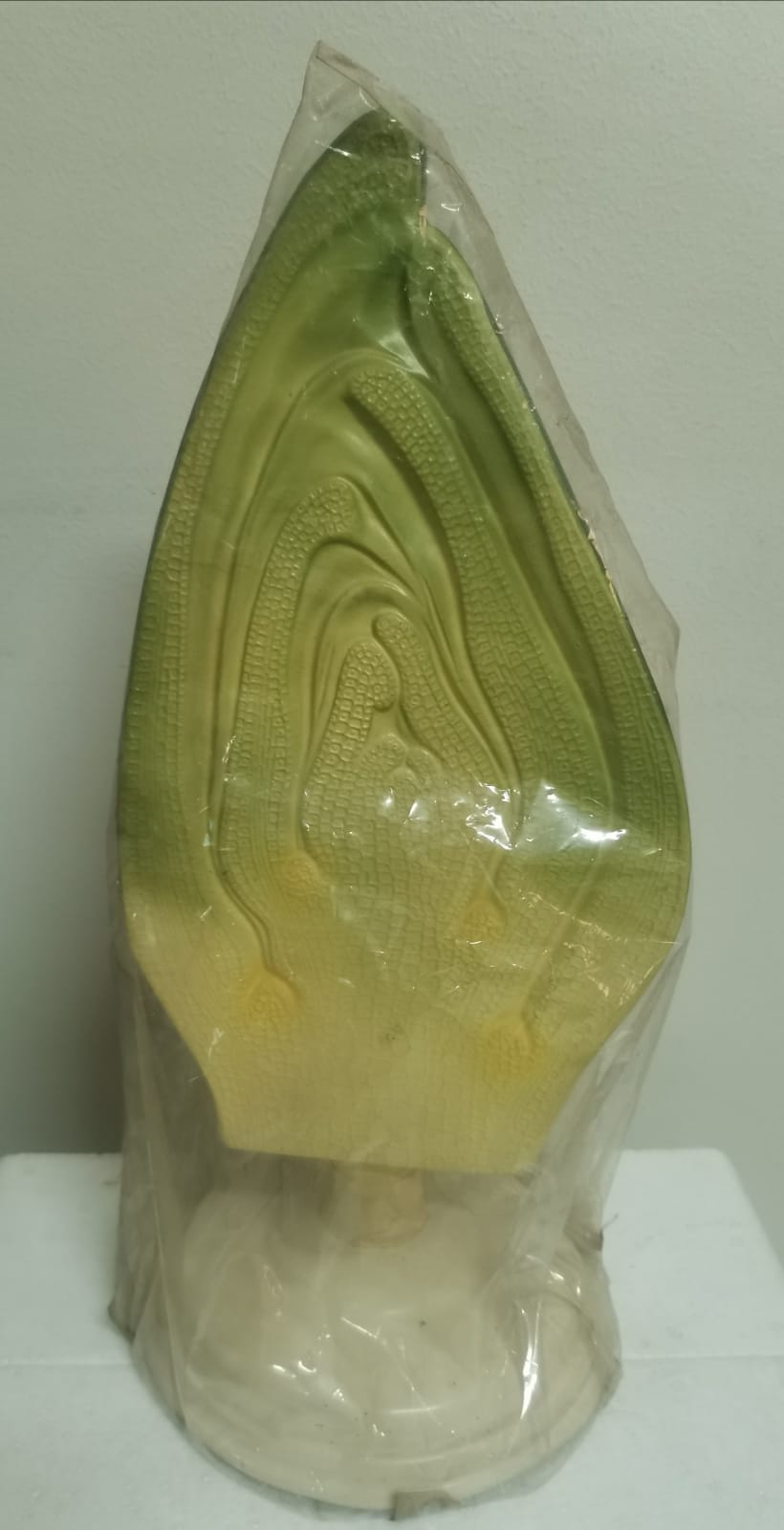 THE APICAL BUD MODEL